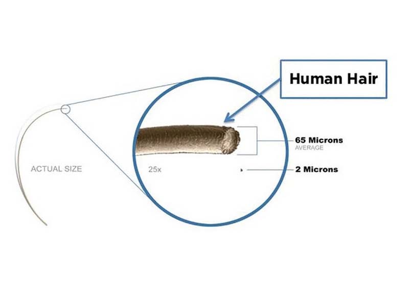 Thickness of Human Hair 