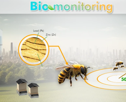 How to detect pollutants with bees: a forward-looking approach
