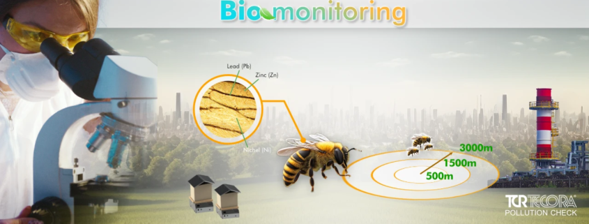 How to detect pollutants with bees: a forward-looking approach
